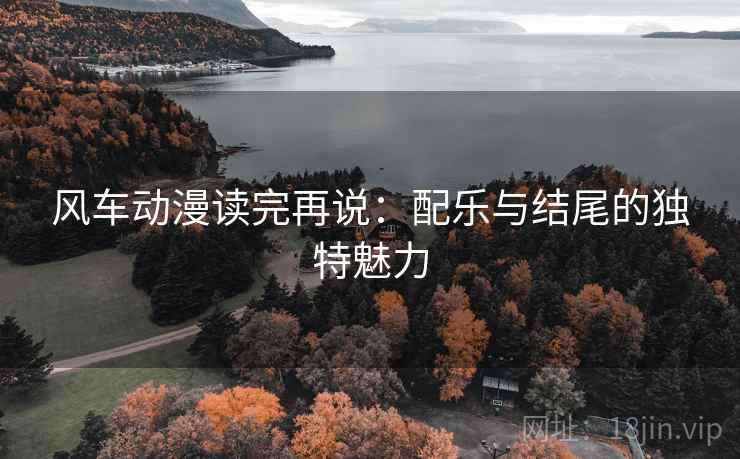 风车动漫读完再说：配乐与结尾的独特魅力
