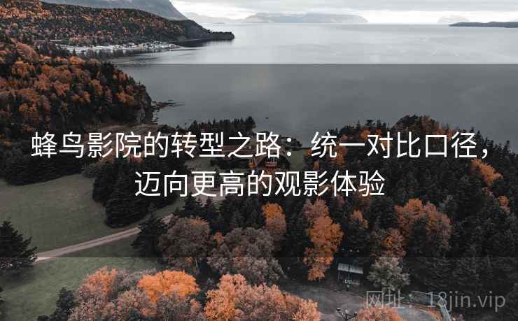 蜂鸟影院的转型之路：统一对比口径，迈向更高的观影体验